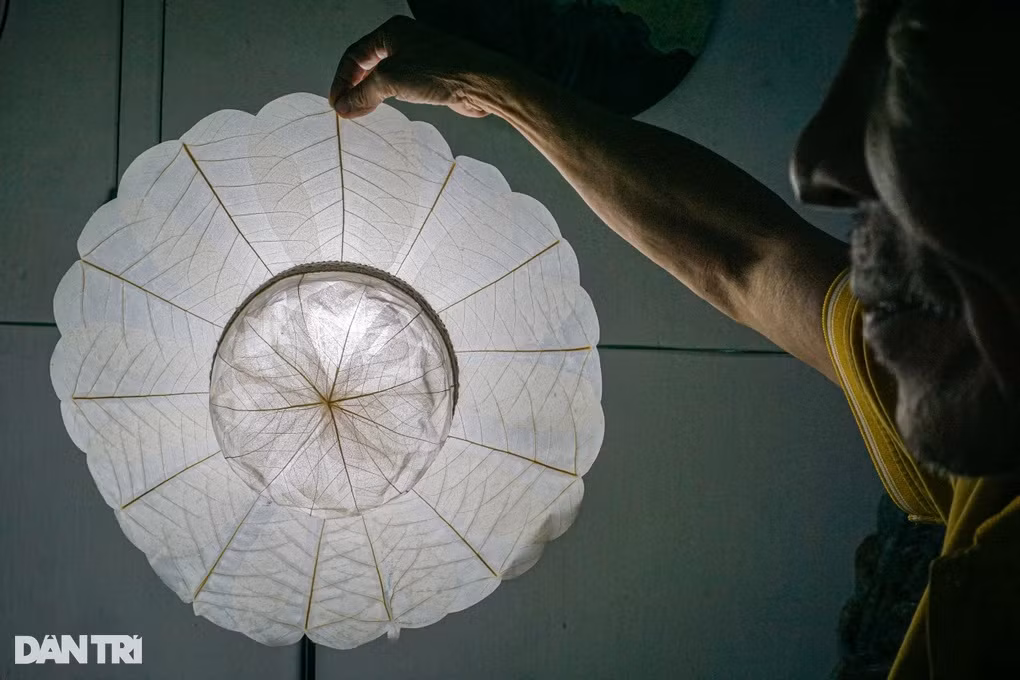 Nguoi dan ong tam huyet voi non la bang rung doc dao xu Hue-Hinh-3