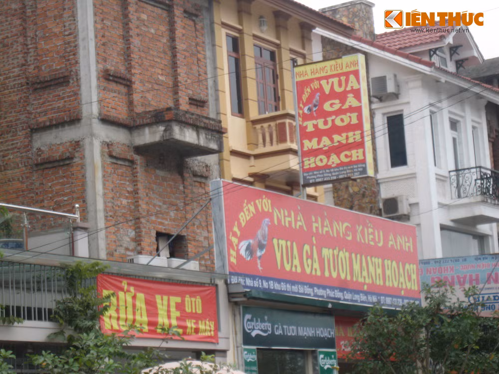 Cho thuê lại mặt bằng là giải pháp tình thế mà các chủ đất lựa chọn để đối phó với tình trạng xuống cấp, mọc cỏ dại, ẩm mốc của công trình vì không không có người quản lý, giữ gìn, mà lại kiếm ra tiền.