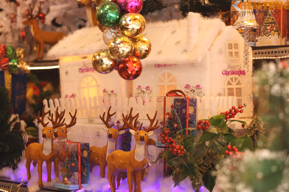 Bên cạnh các dòng bình dân, giá 200.000 - 300.000 đồng/món, nhiều chủ cửa hàng chuyển hướng có thêm dòng đắt tiền, hướng đến nhóm khách hàng có thu nhập. Chủ cửa hàng trên đường Lương Văn Can cho biết: "Hai đến ba triệu một món đồ trang trí, có những khách mua liền chục món chẳng nghĩ gì. Điểm khác biệt của các món này là có thêm chi tiết như đèn tự phát sáng hoặc có nhạc... Ngôi nhà tuyết này có giá 2 triệu đồng".