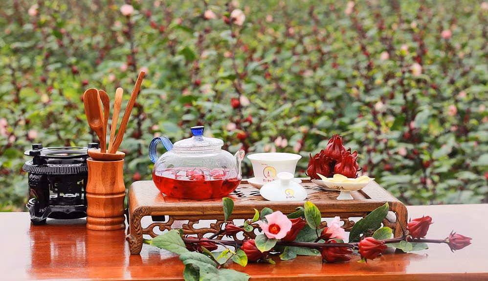 Hương vị đặc trưng, dược tính và khả năng ứng dụng rộng rãi trong ẩm thực, chăm sóc sức khỏe, là lý do Hibiscus được người tiêu dùng săn đón như vậy. Ảnh: Cường Phạm - Roselle Việt Nam.