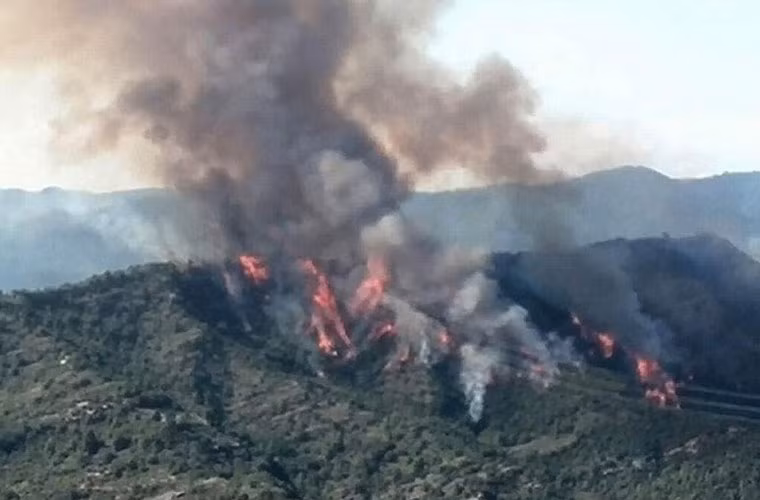 Lửa, xác máy bay sau đó rơi xuống cánh rừng tạo nên vụ cháy khá lớn.