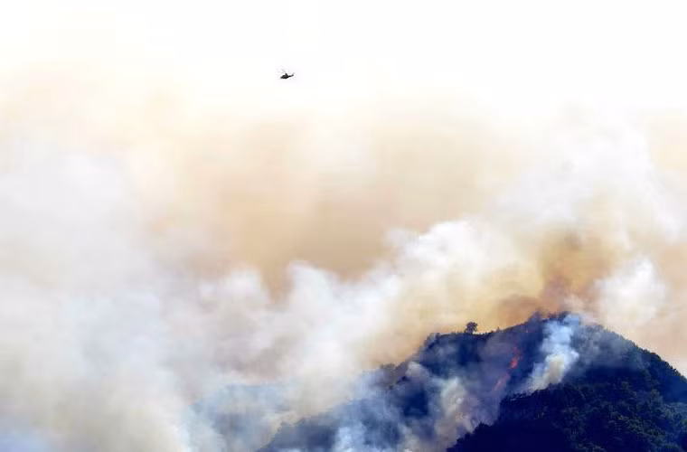 Ngay sau khi xảy ra vụ việc, một chiến dịch tìm kiếm và cứu hộ đã được cảnh sát và các nhân viên cứu hỏa địa phương tiến hành. Và việc đầu tiên là chữa cháy rừng.