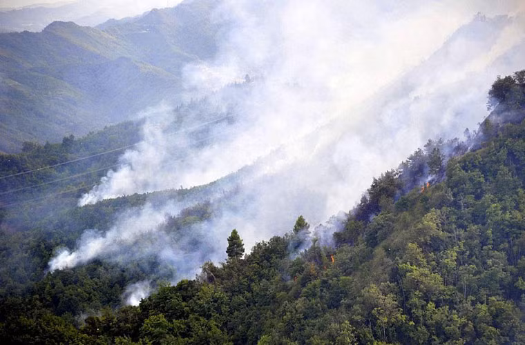 Trong ảnh, khói bốc mù mịt từ cánh rừng.