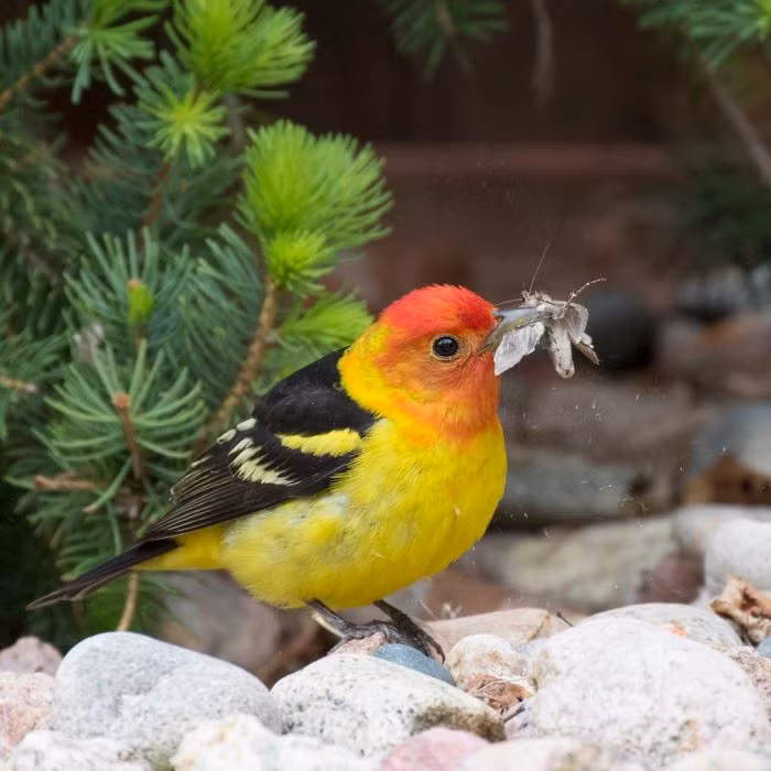 Sinh ngay Am lich nay nhat dinh giau, tien quan quanh than ca doi-Hinh-4