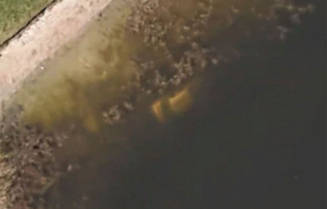 Một người dùng Google Maps đã dẫn đường cho cảnh sát bang Florida, Mỹ tới vị trí một chiếc ô tô bị chìm dưới hồ. Tại đây, lực lượng chức năng đã phát hiện thi thể của ông William Moldt mất tích khi đang trên đường về nhà vào năm 1997.