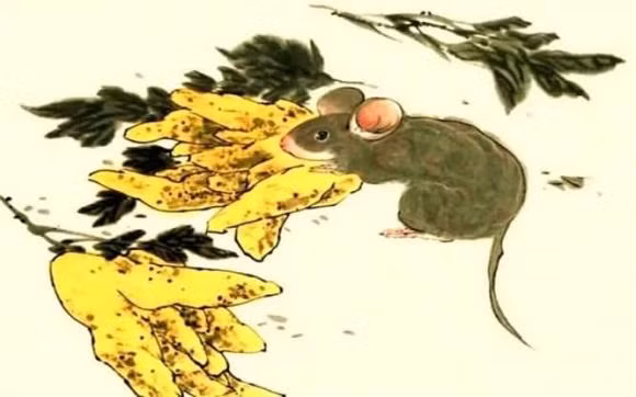 Tu gio toi cuoi thang 9/2022, 4 con giap mo cua hung mua tien, giau su