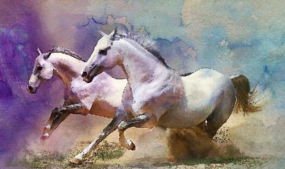 Qua Ram thang 7: 3 con giap van may tang vot, tai loc len huong