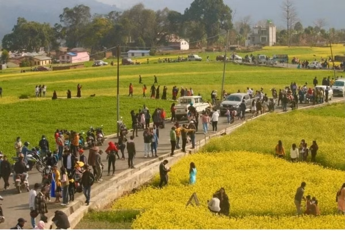 Noi TikToker gay thiet hai hang chuc nghin USD cua nguoi dan-Hinh-3