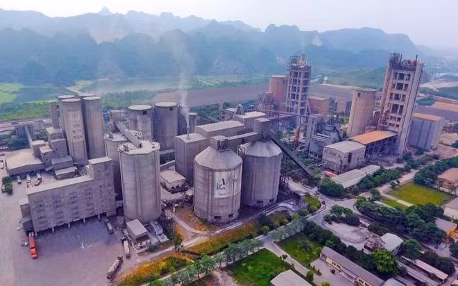 Loat sai pham tai cac cong ty con cua Vicem: Kiem toan Nha nuoc yeu cau lam ro trach nhiem