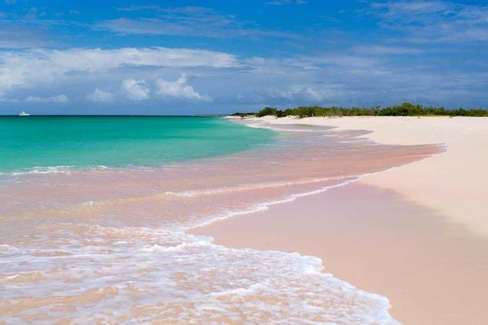 3. Barbuda, Antigua và Barbuda. Barbuda là một trong hai hòn đảo đã góp phần tạo nên quốc gia nhỏ bé vùng Caribe là Antigua và Barbuda. Rộng 62 dặm vuông và chỉ có một ngôi làng nằm trên hòn đảo, những bãi biển cát hồng ở đây rất hẻo lánh và có nhiều những cây cọ nhiệt đới.