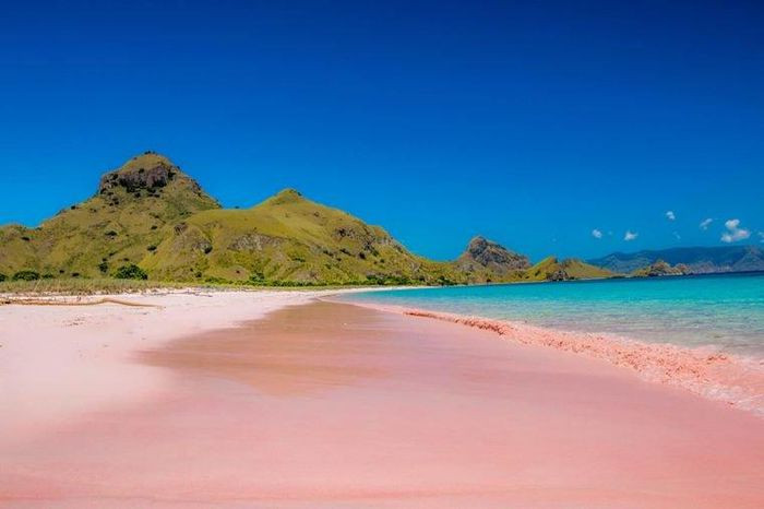 5. Pink Beach, Indonesia. Bãi biển Pink là một phần của Vườn Quốc gia Komodo với nước biển màu xanh ngọc tương phản với màu hồng của cát biển và bầu trời xanh tạo nên khung cảnh đẹp như tranh vẽ và thậm chí khi hoàng hôn xuống thì còn đẹp hơn. Bên dưới mặt nước là những rạn san hô và hàng nghìn loài cá.