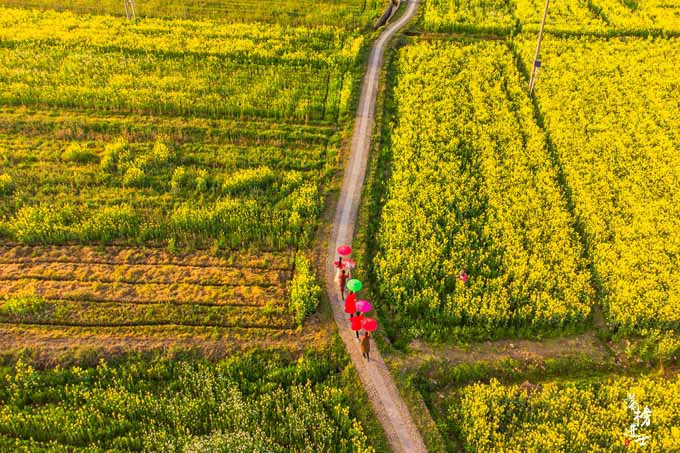 Nhìn từ trên cao, làng Nam Bình rất rộng, những ngôi nhà mọc thành từng cụm san sát nhau, được bao quanh bởi các cánh đồng màu mỡ và hệ thống nước. Khung cảnh thực sự rất đẹp.