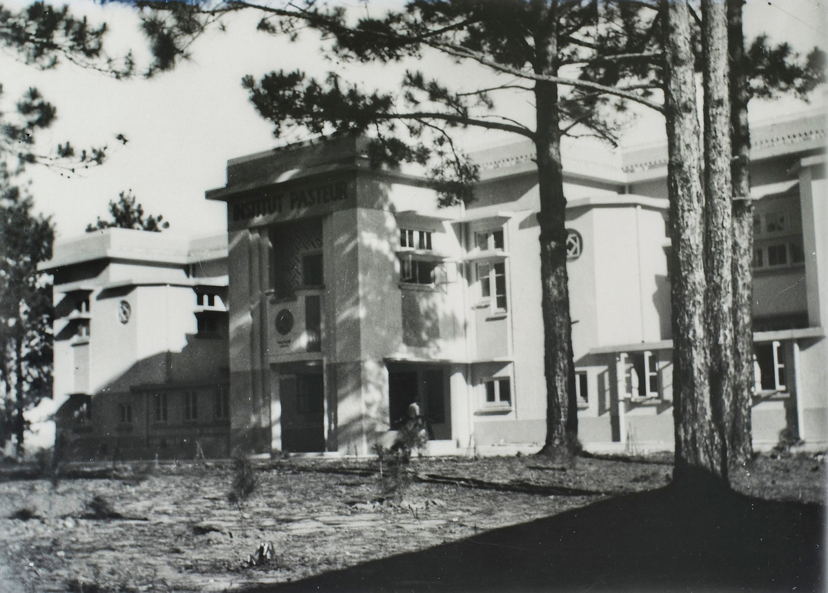 Góc chụp cận cảnh về Viện Pasteur.