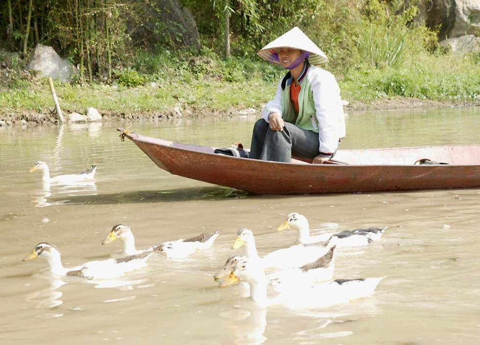 Cô gái lái đò trên suối Yến, danh thắng Chùa Hương, lúc này còn thuộc tỉnh Hà Tây. Ảnh: Richard-seaman.com.