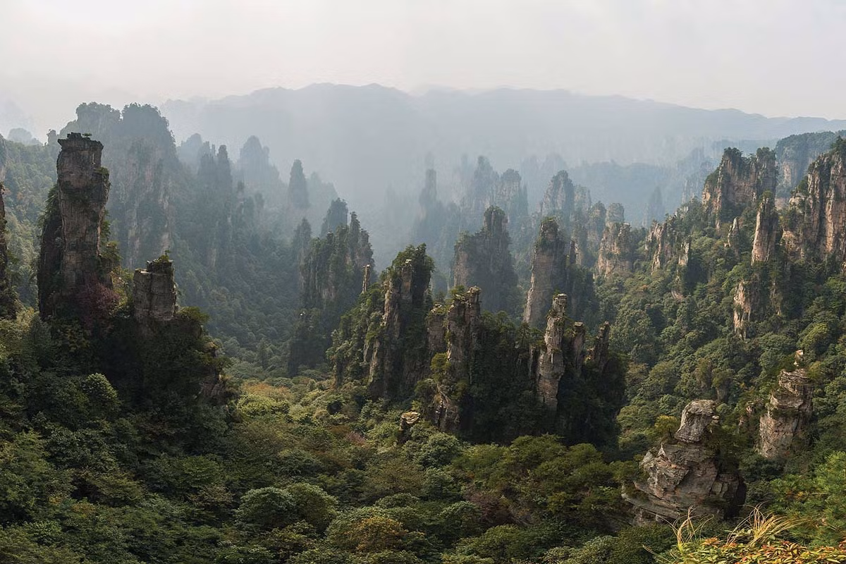 Thảm thực vật nguyên sinh bao phủ các chỏm núi và chân núi càng tô điểm cho vẻ hoang sơ và huyền bí của núi Thiên Tử. Ảnh: Kent and Surrey Bylines.