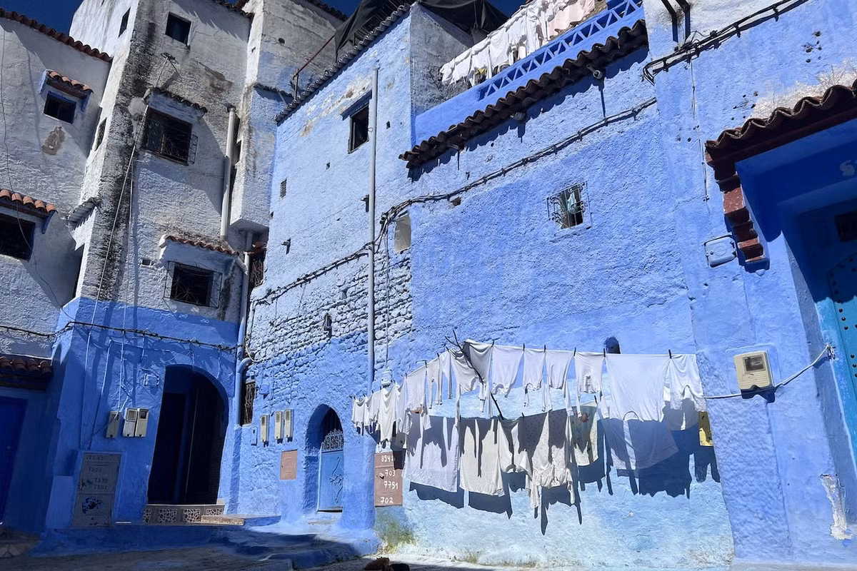 Ảnh: Life in the Fast Jane.