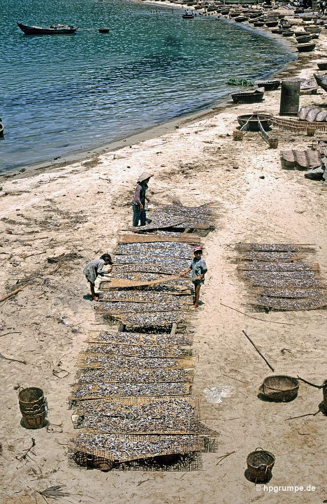 Một góc bãi biển.