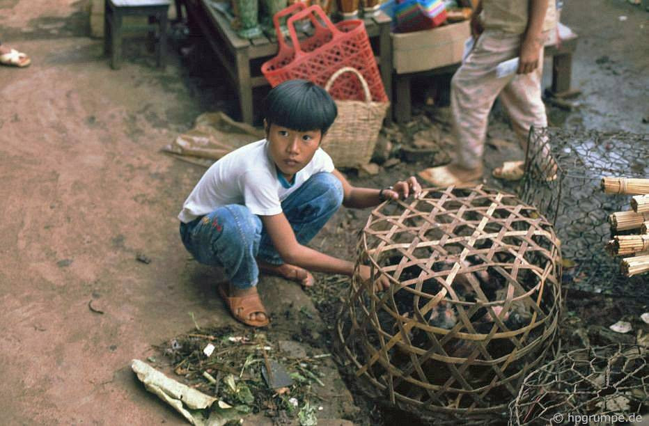 Cậu bé bên chiếc lồng gà. Ảnh: Hpgrumpe.de.