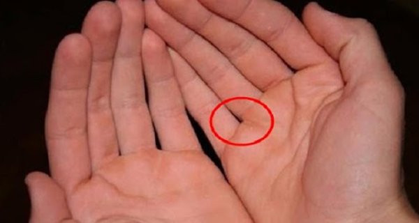 Kẽ hở giữa ngón đeo nhẫn và ngón út. Bạn là người bảo thủ, tự tin quá cao, ít nghe theo lời khuyên bảo của người khác dù đó là người thân hay bạn bè lâu năm. Trong mọi việc, bạn chỉ chăm chăm làm theo ý muốn cá nhân và bỏ ngoài tai ý kiến của người khác. Cũng chính vì vậy, bạn rất dễ mắc sai lầm và không được lòng mọi người.