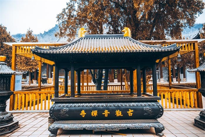 Để bảo vệ cây bạch quả, nhà chùa đã làm một hàng rào, nó không chỉ bảo vệ cho cây mà còn tránh được một số tai nạn không mong muốn.