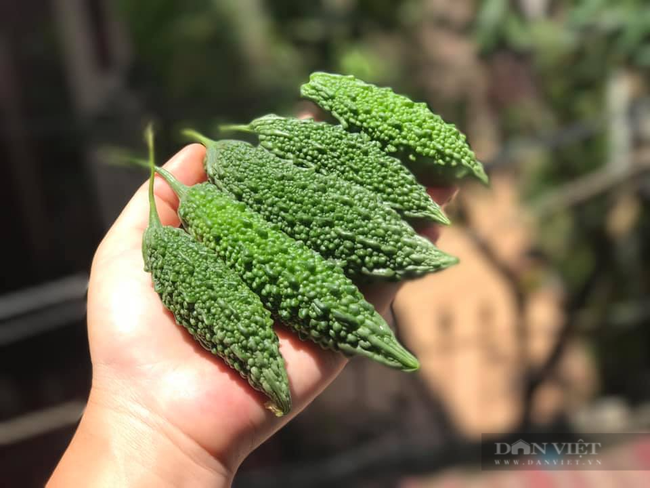 4 mon an ngon, la mieng, giau dinh duong tu muop dang-Hinh-2