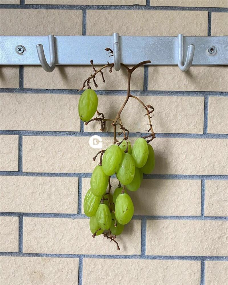 Tuong treo gio 60 ngay co mon nho kho, ngay cuoi ket qua hu hon-Hinh-2