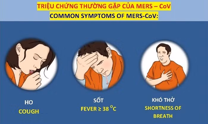 Trước những diễn biến phức tạp của loại bệnh này, Bộ Y tế Việt Nam đã khẩn trương đẩy mạnh các biện pháp phòng chống bệnh, tránh lây lan vào trong nước.