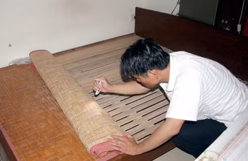 Bọ xít hút máu thường sống ở giường, đệm, tủ, khe nứt, trên trần nhà, dưới đống củi..., chúng có thể làm ổ cả trong hoặc ngoài nhà. Ban ngày bọ xít hút máu thường trốn vào các khe tối như khe giường, khe tủ... đêm đến mới hoạt động, nên con người thường không biết sự có mặt của chúng.