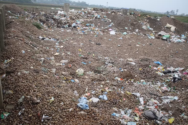 Mặc dù UBND xã đã có những biện pháp ngăn cấm hành động đổ vỏ ốc bừa bãi nhưng nhiều người dân không hề chấp hành. Hầu hết lượng vỏ ốc được đổ chui ban đêm.