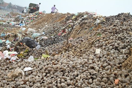 Cấn Thượng là một trong ba thôn (Cấn Thượng, Cấn Hạ, Đĩnh Tú) thuộc xã Cấn Hữu, huyện Quốc Oai, Hà Nội, nhiều năm nay đã trở thành nơi tập kết vỏ ốc bươu vàng từ khắp các tỉnh phía bắc như Thái Bình, Hưng Yên, Hải Dương, Bắc Giang...