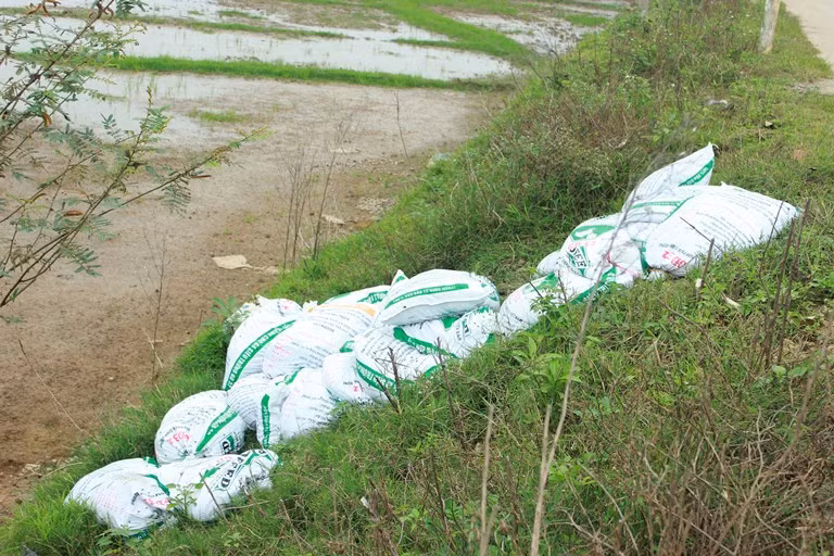Ngay khi những người làm công việc “đổ vỏ” vừa về xong thì đã có rất nhiều bao tải vỏ ốc được vứt la liệt bên vệ đường.