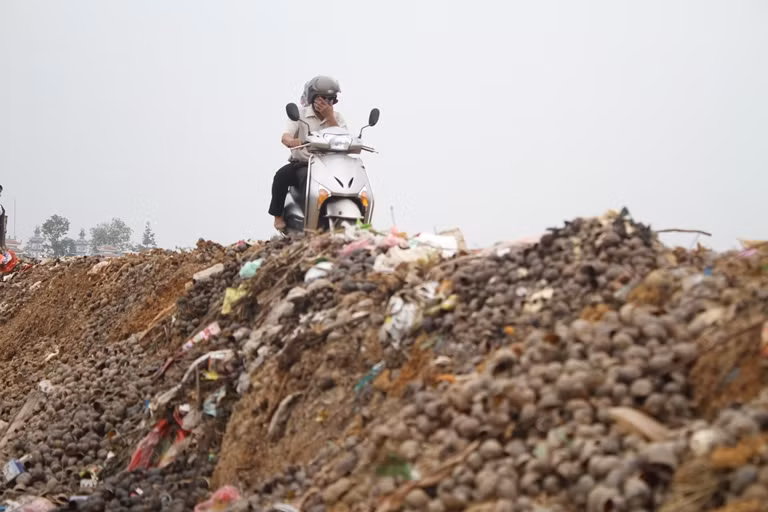 Việc tập kết vỏ ốc bươu vàng này chính là hậu quả của việc thu mua ruột ốc của các thương lái Trung Quốc.