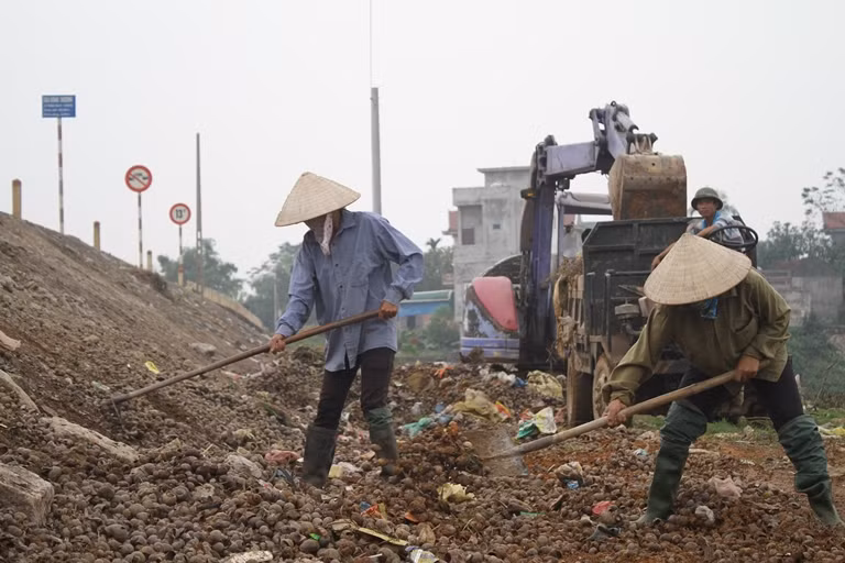 Được biết sau khi có thông tin và chỉ đạo của Chủ tịch huyện Quốc Oai, xã Cấn Hữu cũng như thôn Cấn Thượng đã có những biện pháp nhằm dọn dẹp cũng như đưa lượng vỏ ốc bươu vàng trên về các nơi quy định.