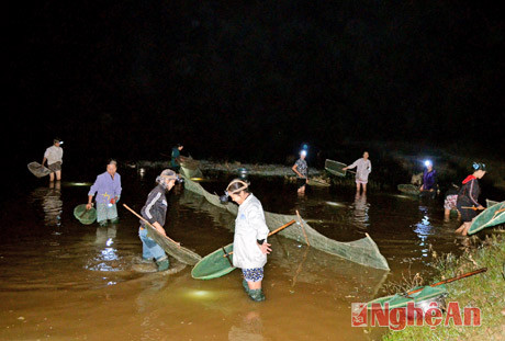 Mấy ngày tháng 10 âm lịch cũng trùng với ngày bão về, người dân các xã Hưng Nhân, Hưng Lợi (Hưng Nguyên, Nghệ An) đổ xô nhau ra đồng, dùng xô, chậu, lưới đứng sáng đêm trên ruộng để vớt rươi. Loài đặc sản đang ngày càng đắt giá này được ví như “lộc trời” ban cho người dân vùng lũ.