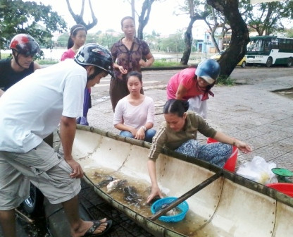 Những nghề tức thời ăn theo lũ cũng xuất hiện nhiều nơi ở miền Trung như giữ xe qua đêm, rán bánh, rớ cá, săn chuột, bắt chim… Trong ảnh là một thuyền cá trong nội thành Huế bán những con cá vừa rớ được cho khách đi đường ngày nước lên cao. Ảnh: Báo Thừa Thiên Huế.