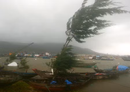 Trung bình mỗi năm nước ta có 7,5 cơn bão, áp thấp nhiệt đới.
