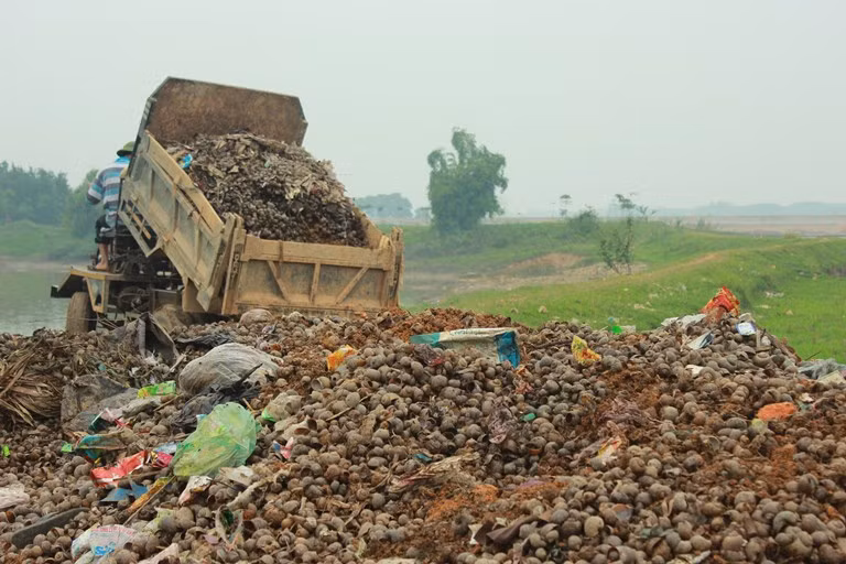 Tuy nhiên, cũng theo ông Ly thì giải pháp này cũng chỉ là trước mắt bởi số lượng vỏ ốc này cũng chỉ được chở gọn vào trong khu vực cánh đồng cách đó không đầy 30m.