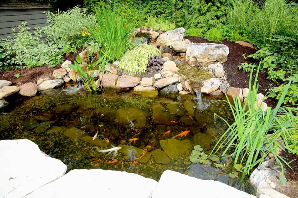 Hàm ý rằng chúng ta nên có thái độ khoan dung khi đối nhân xử thế và đừng quá khắt khe với người khác. Nếu bạn quá khắt khe, luôn nắm bắt khuyết điểm của người khác và phóng đại chúng lên vô tận mà không nhìn thấy ưu điểm của người khác, thì bạn sẽ không thể xử lý tốt mối quan hệ với người khác và không ai sẵn sàng hợp tác, và bạn cuối cùng sẽ chỉ còn lại một mình.