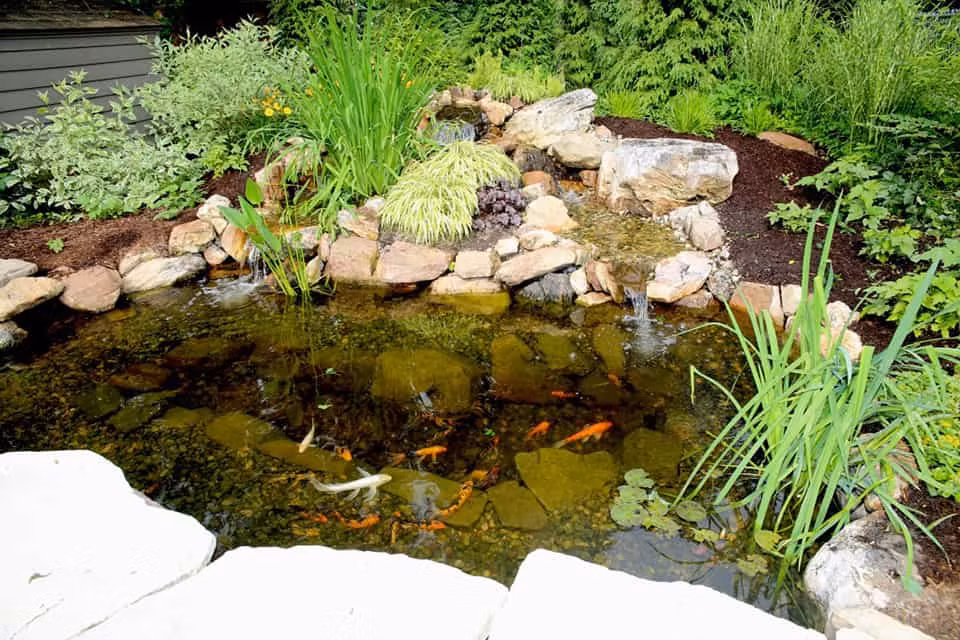 Hàm ý rằng chúng ta nên có thái độ khoan dung khi đối nhân xử thế và đừng quá khắt khe với người khác. Nếu bạn quá khắt khe, luôn nắm bắt khuyết điểm của người khác và phóng đại chúng lên vô tận mà không nhìn thấy ưu điểm của người khác, thì bạn sẽ không thể xử lý tốt mối quan hệ với người khác và không ai sẵn sàng hợp tác, và bạn cuối cùng sẽ chỉ còn lại một mình.