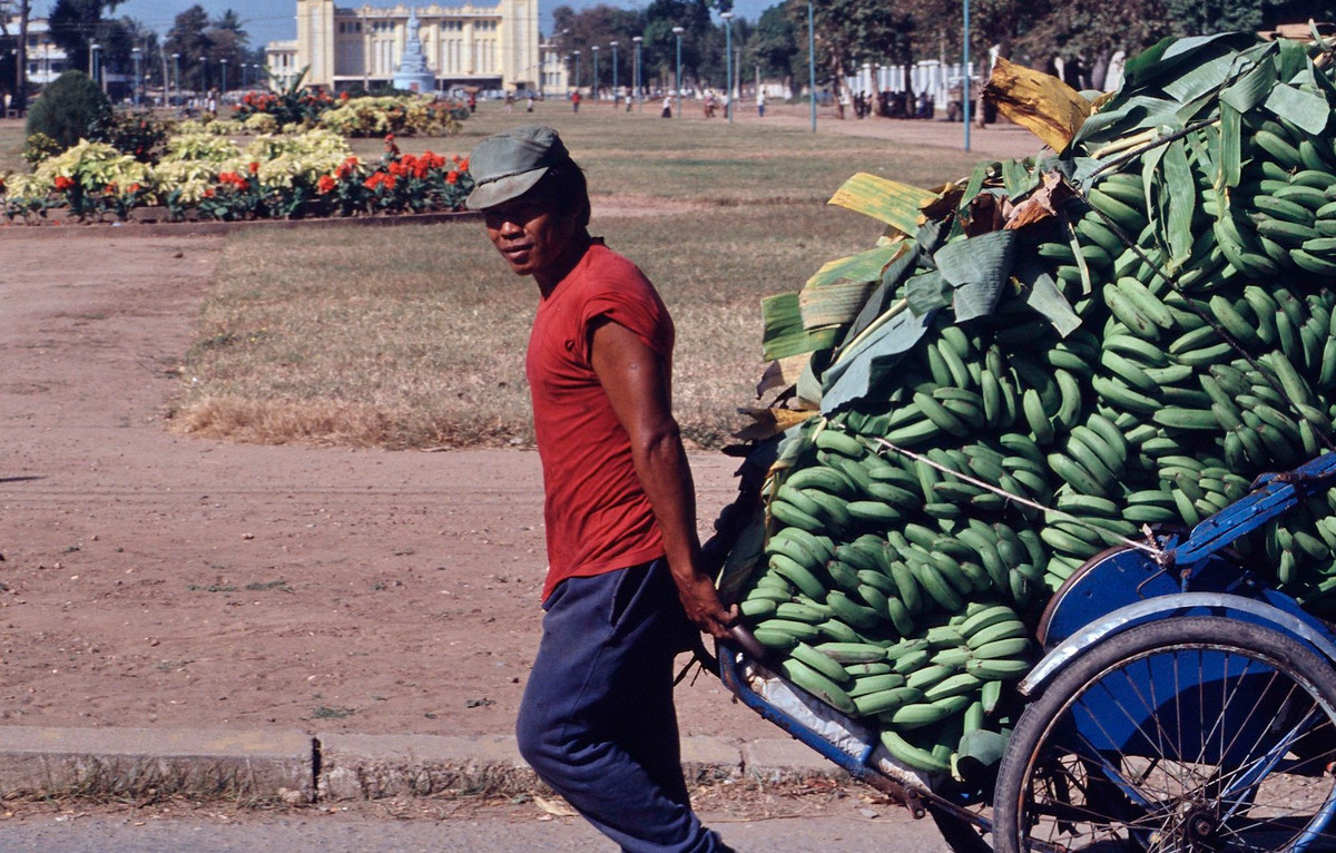 Một nam giới kéo xe xích lô chở chuối ở khu vực quảng trường trung tâm thành phố.