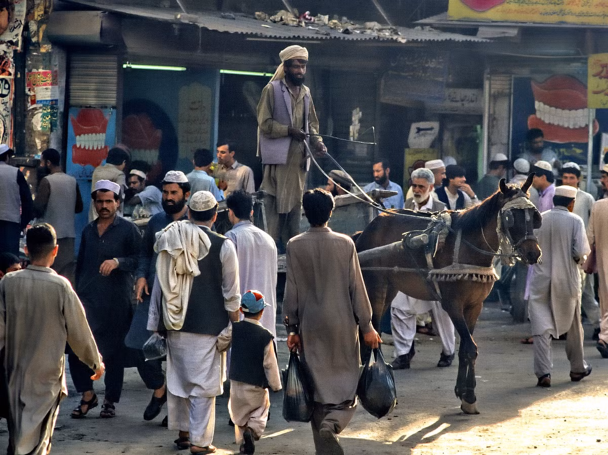 Người đàn ông điều khiển xe ngựa kéo nổi bật trên đường phố Peshawar.