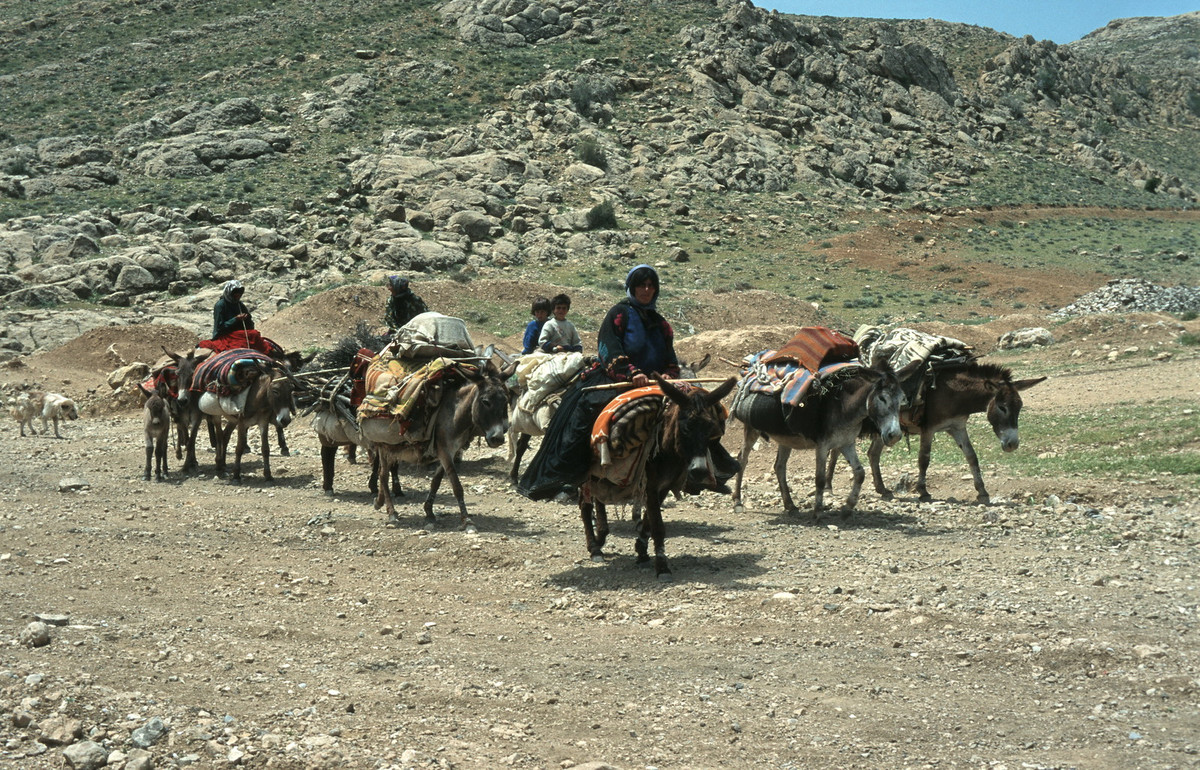Người thuộc bộ tộc Qashqai cưỡi lừa trên con đường quê gần thành phố Shiraz.