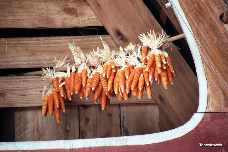 Ngô được phơi trên sào gác qua đầu hồi nhà sàn.