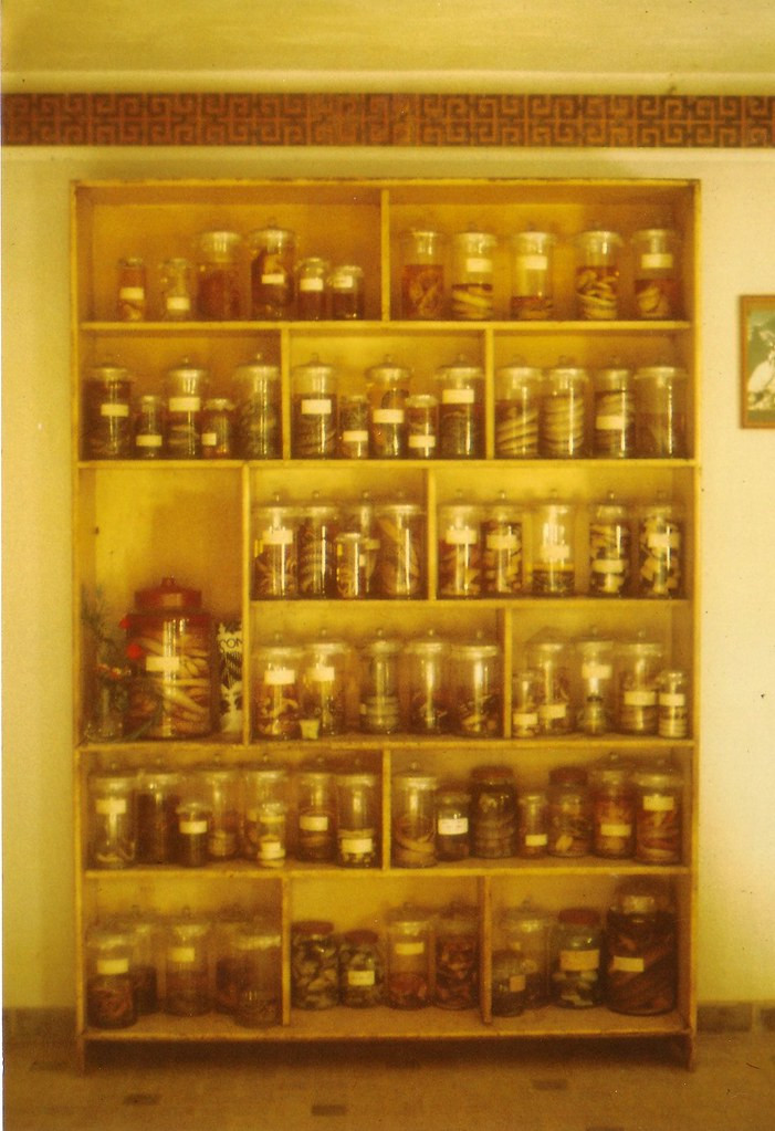 Tủ lưu trữ tiêu bản rằn tại một phòng nghiên cứu ở trại rắn Đồng Tâm.