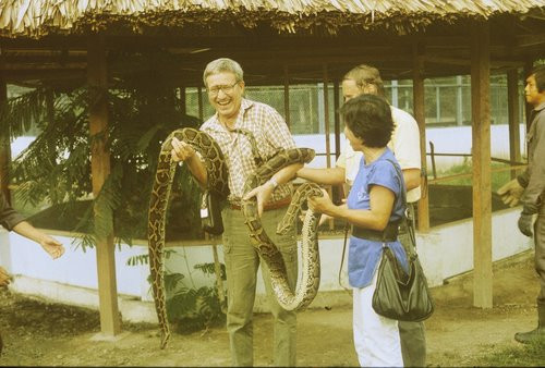 Khoảnh khắc lúng túng với loài bò sát ở xứ nhiệt đới.