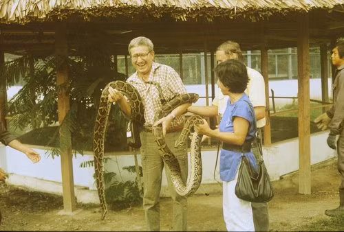 Khoảnh khắc lúng túng với loài bò sát ở xứ nhiệt đới.