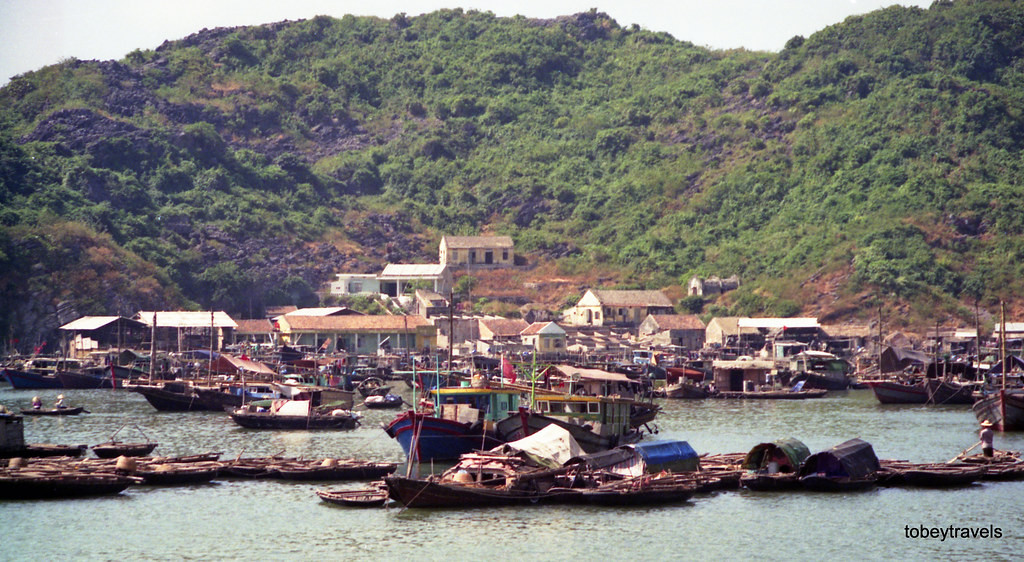 Xóm vạn chài ở đảo Cát Bà.