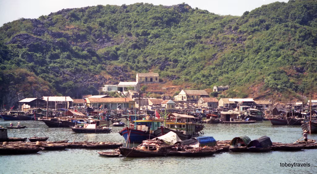 Xóm vạn chài ở đảo Cát Bà.