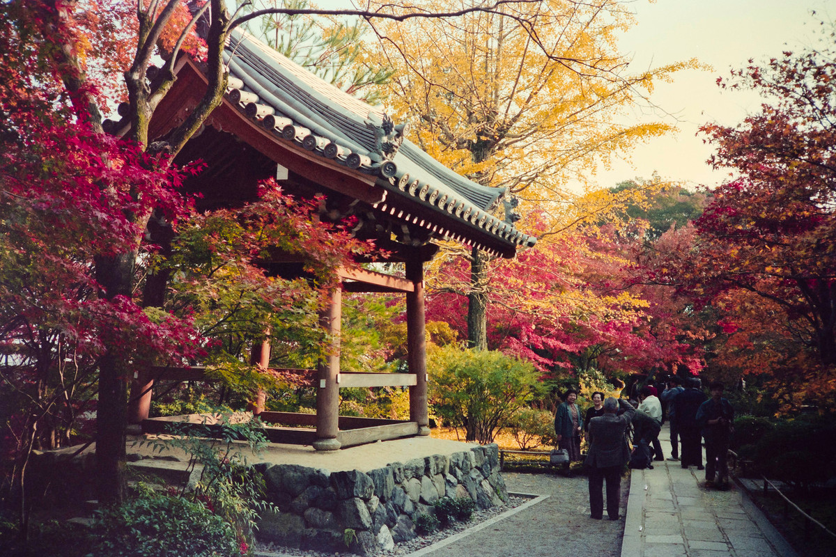 Chùa Nison-in ngày 19/11/1990. Lúc này cây cối trong chùa đã chuyển màu lá thu, thu hút nhiều du khách đến thưởng lãm.