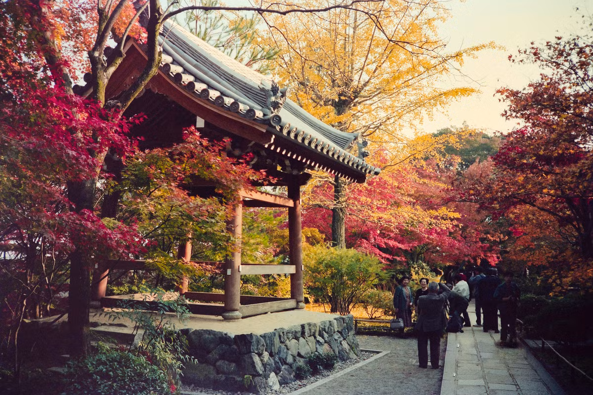 Chùa Nison-in ngày 19/11/1990. Lúc này cây cối trong chùa đã chuyển màu lá thu, thu hút nhiều du khách đến thưởng lãm.